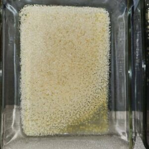 5-MeO-DMT N-N DMT