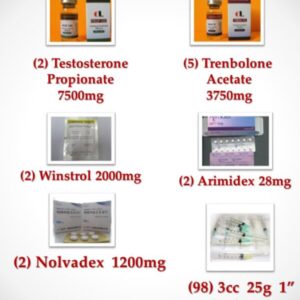 Intermediate Steroid Cycle II